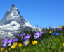 Switzerland01