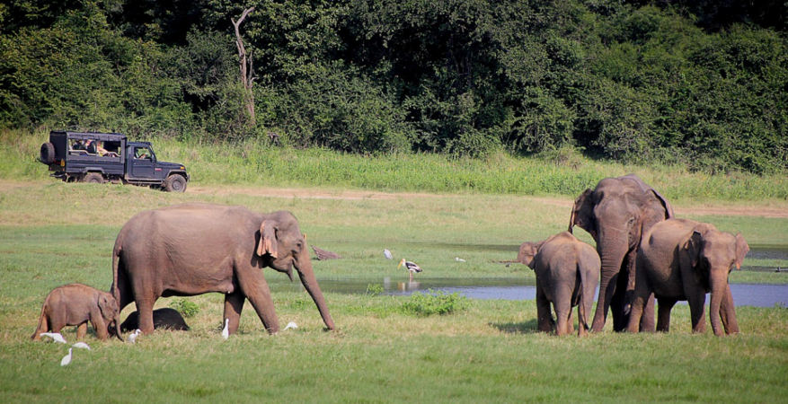 Sri Lanka01